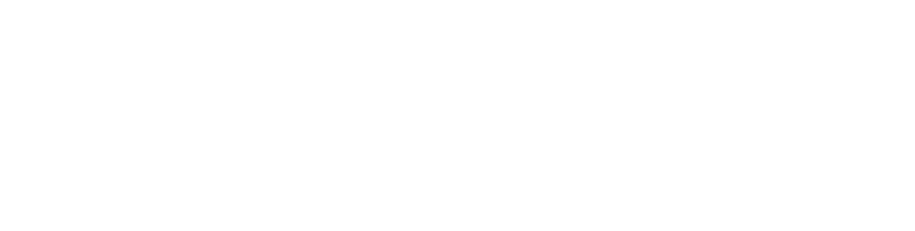 Логотип франшизы IDOL FACE