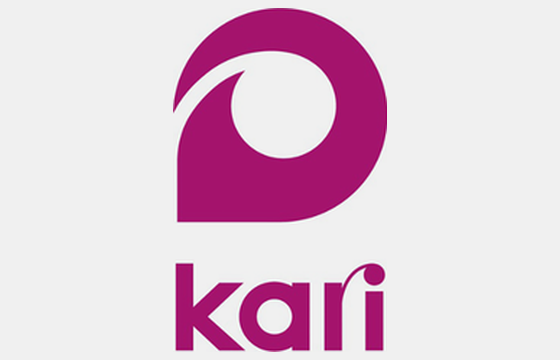 Логотип kari